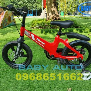 Xe đạp trẻ em cao cấp Baby Doll BWT203
