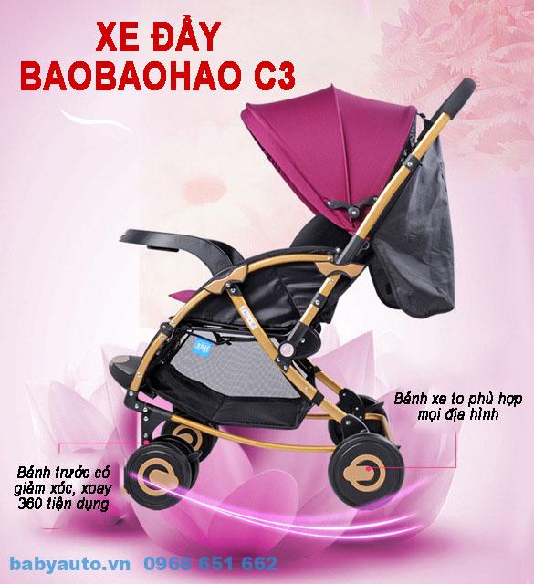 Xe đẩy C3