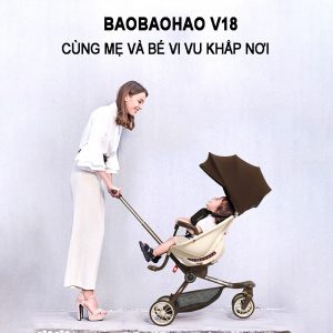 Xe đẩy Baobaohao V18